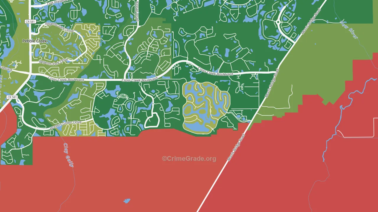 Cory Lake Isles, Tampa, FL Map of Arson Rates