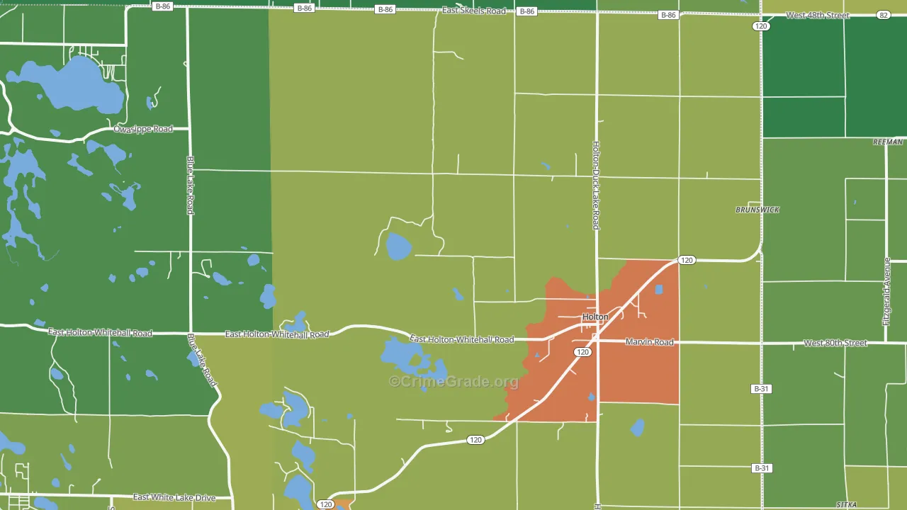 Holton, MI Map of Arson Rates