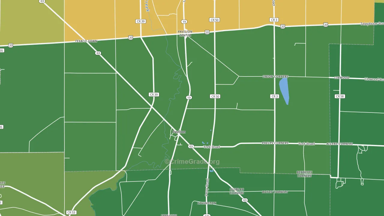 Pavilion, NY Map of Arson Rates