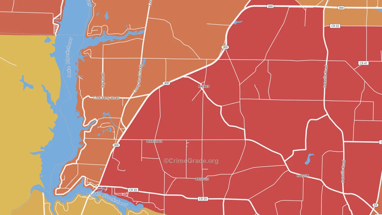 Raines, GA Map of Arson Rates