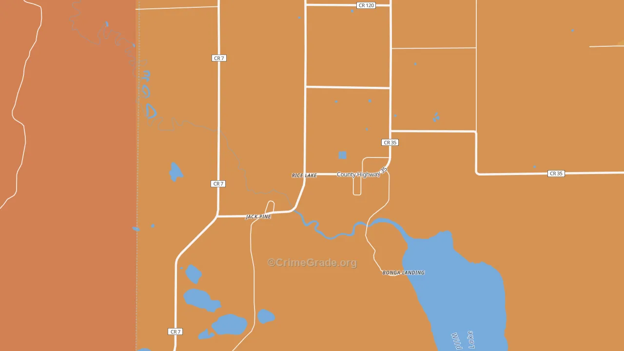 Rice Lake, MN Map of Arson Rates