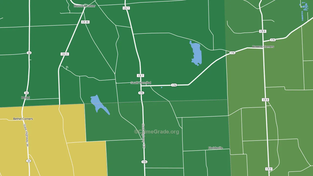 South Hannibal, NY Map of Arson Rates