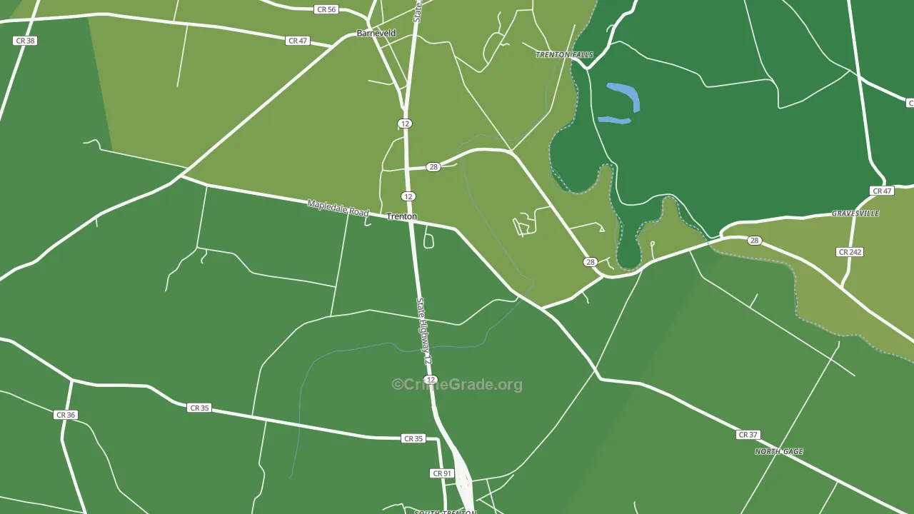 Barneveld, NY Map of Assault Rates
