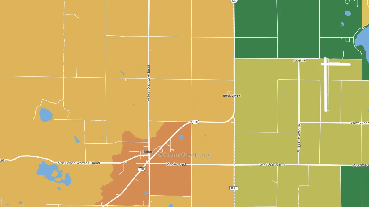Brunswick, MI Map of Assault Rates