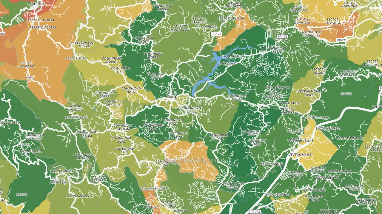 Cidra Municipio, PR Map of Assault Rates