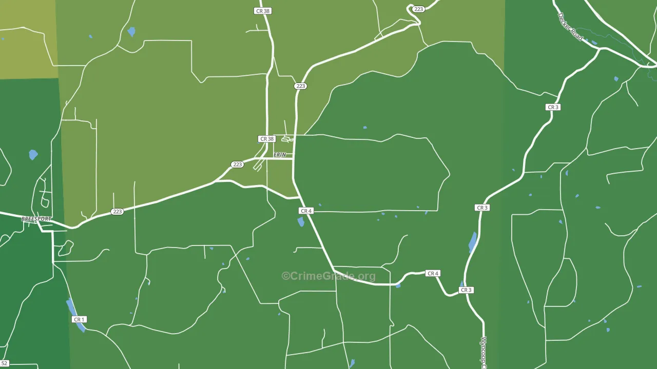 Erin, NY Map of Assault Rates