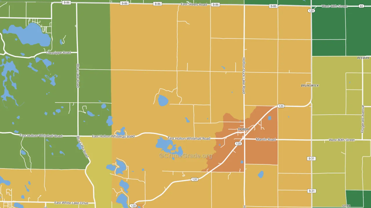 Holton, MI Map of Assault Rates