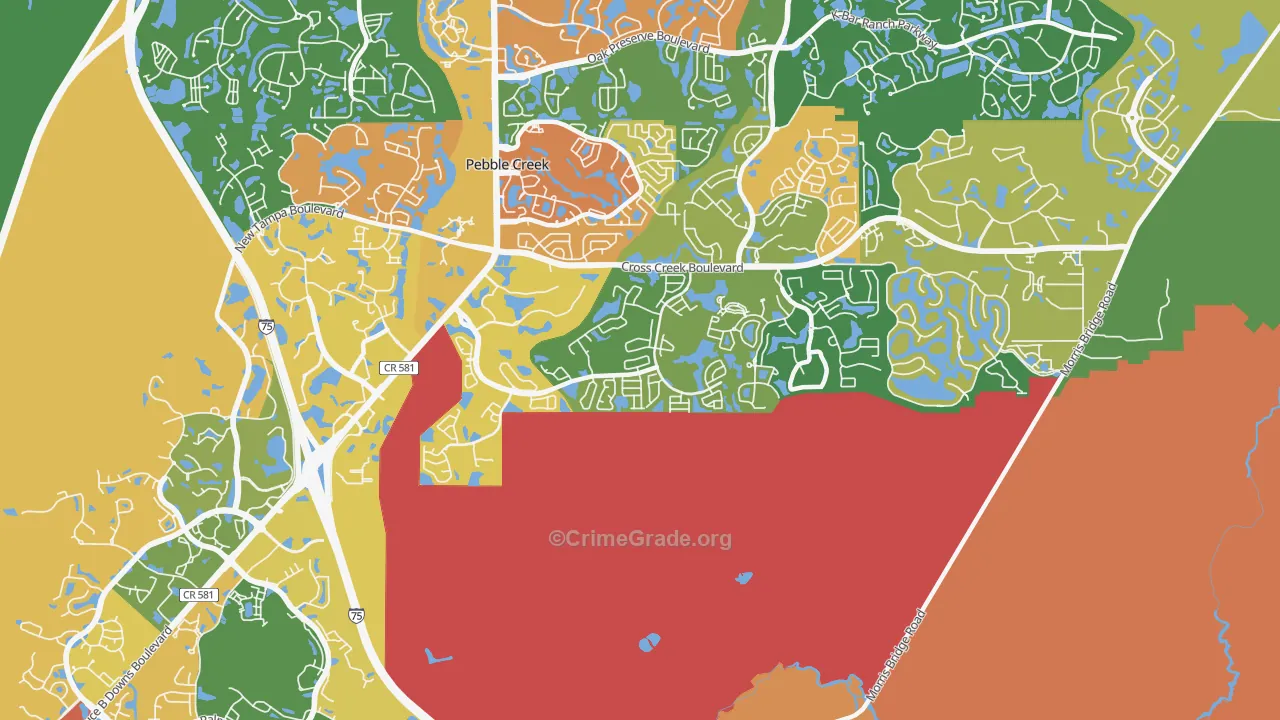 Hunters Green, Tampa, FL Map of Assault Rates