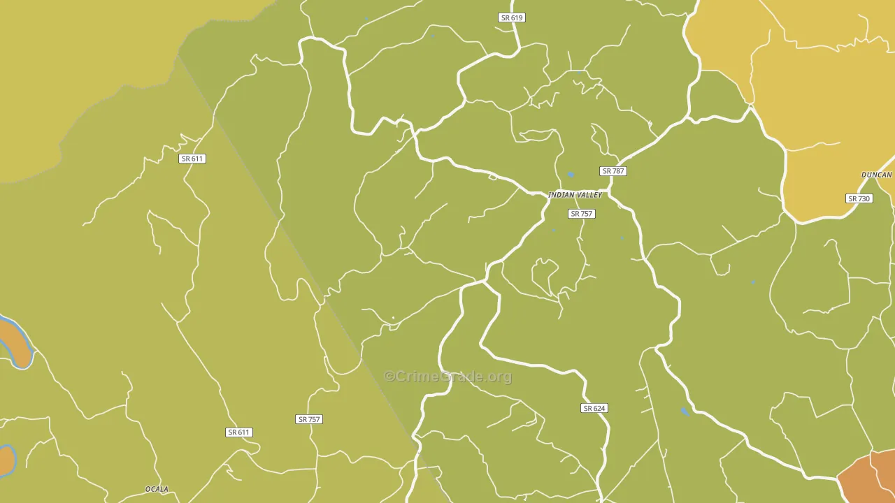 Indian Valley, VA Map of Assault Rates