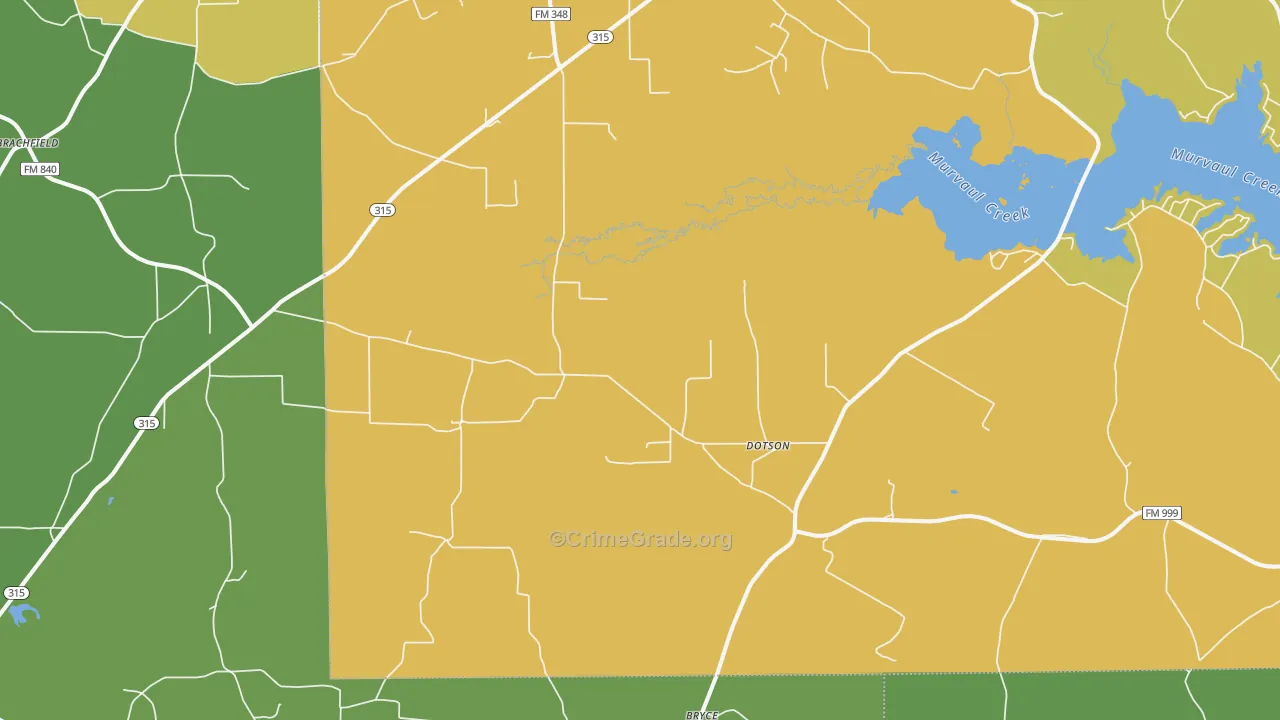 Long Branch, TX Map of Assault Rates