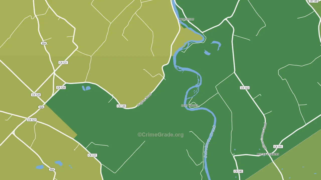 Lost Valley, NY Map of Assault Rates