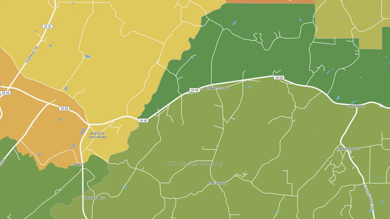 Murray Store, TN Map of Assault Rates