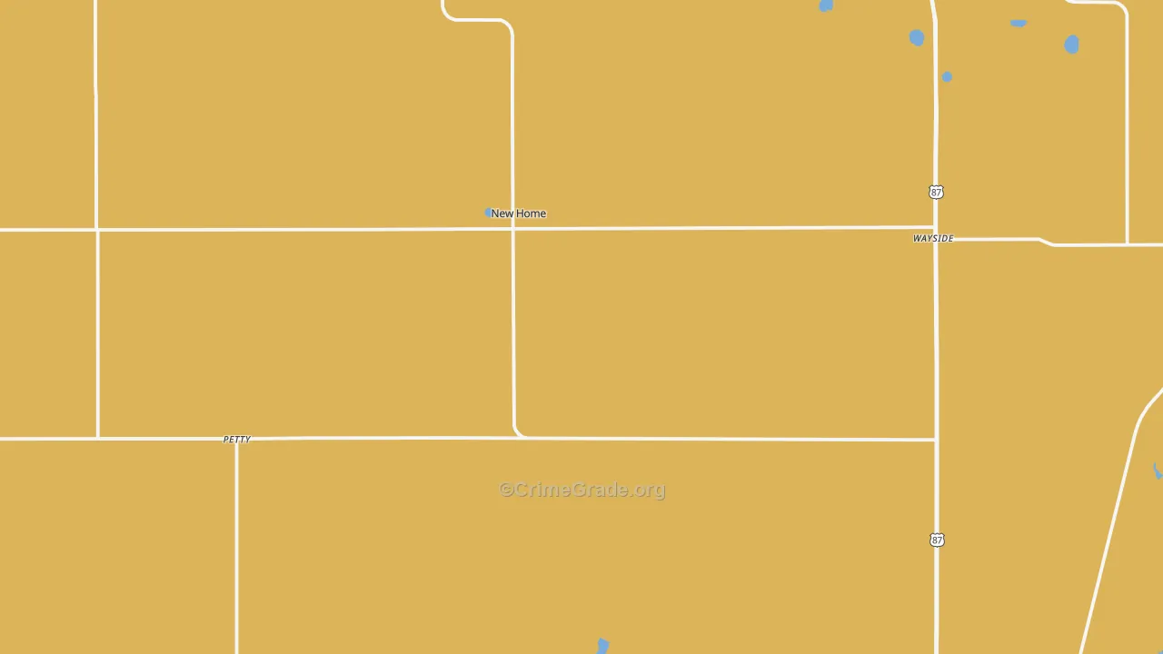 New Home, TX Map of Assault Rates