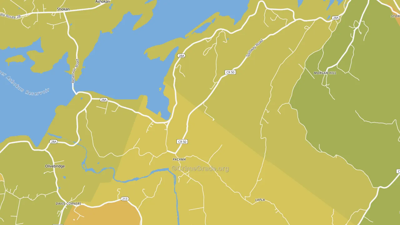 Pacama, NY Map of Assault Rates