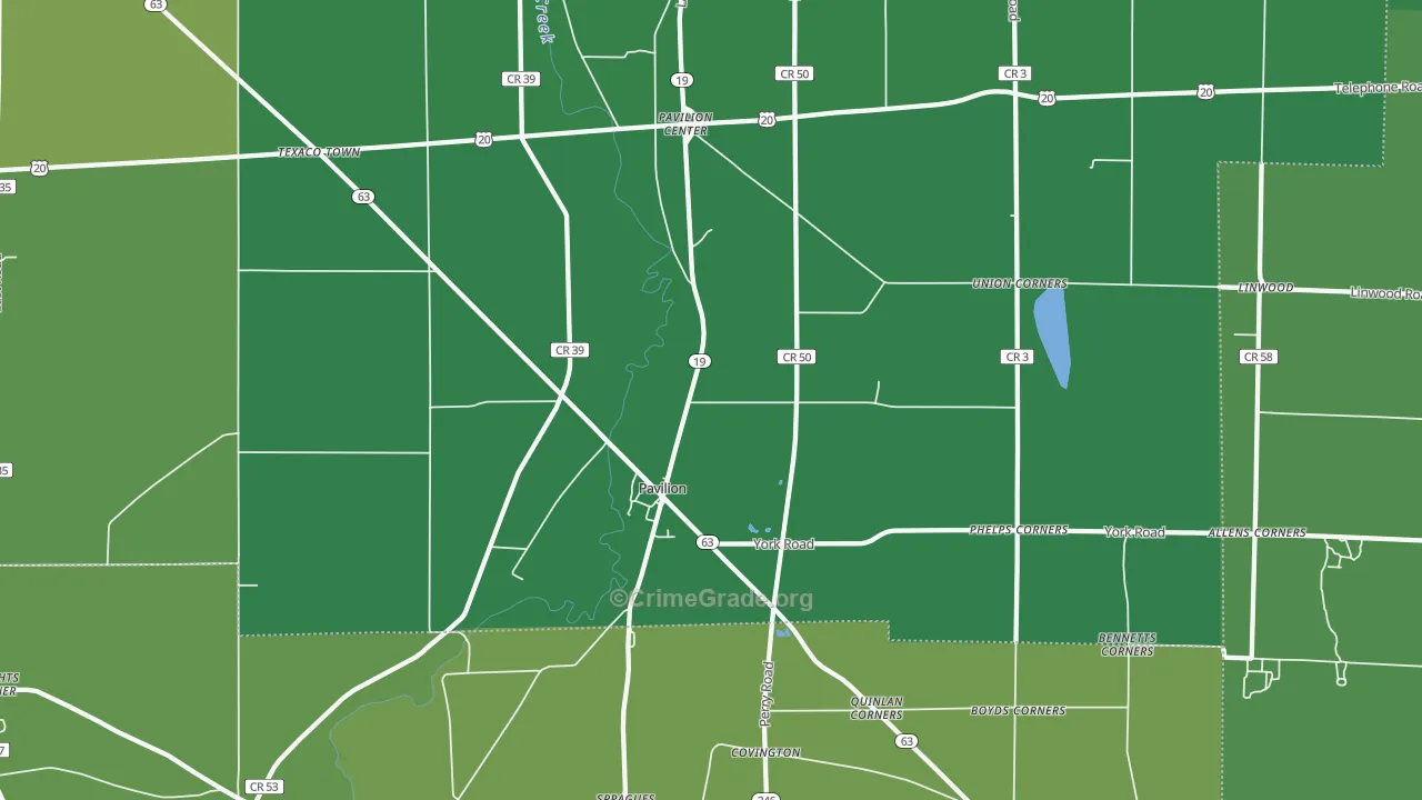 Pavilion, NY Map of Assault Rates