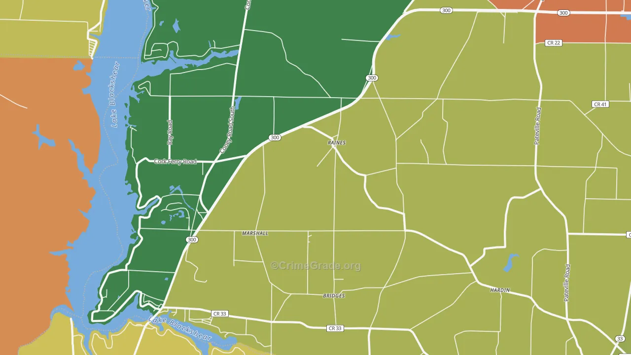 Raines, GA Map of Assault Rates