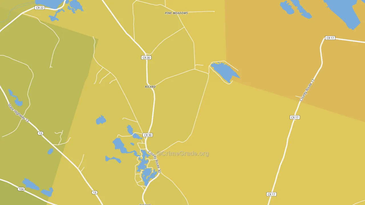 Ricard, NY Map of Assault Rates