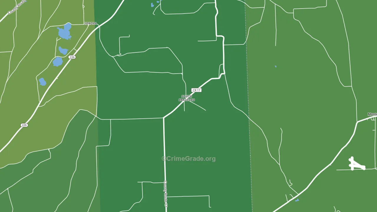 South Bradford, NY Map of Assault Rates