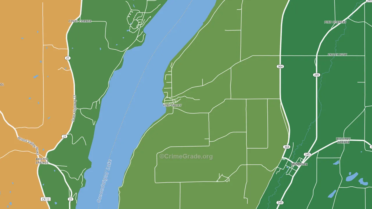Vine Valley, NY Map of Assault Rates