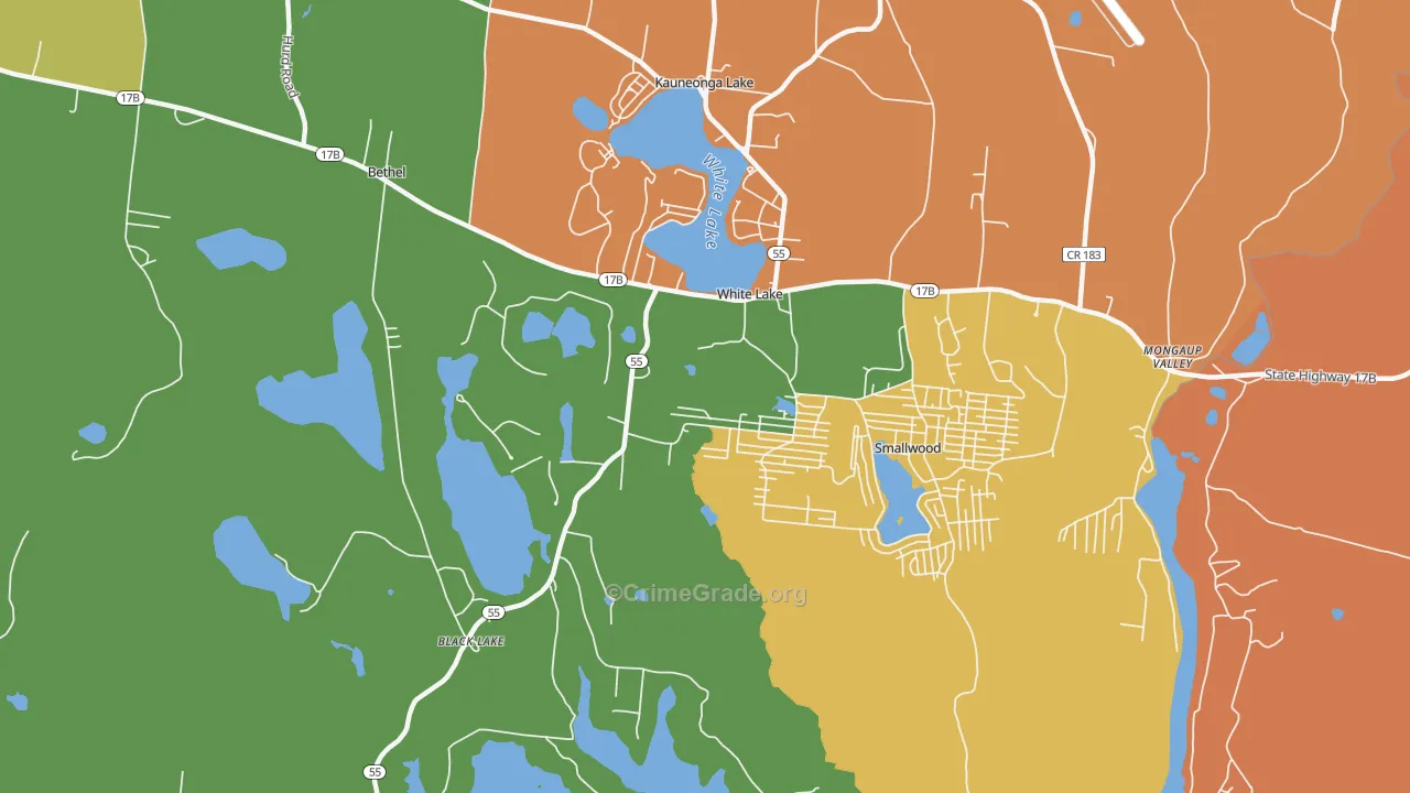 White Lake, NY Map of Assault Rates