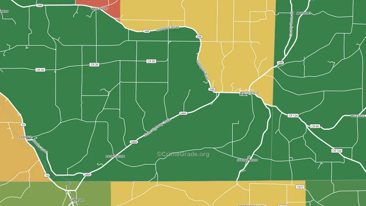 Whitesville, NY Map of Assault Rates