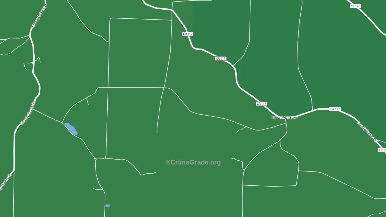 Young Hickory, NY Map of Assault Rates