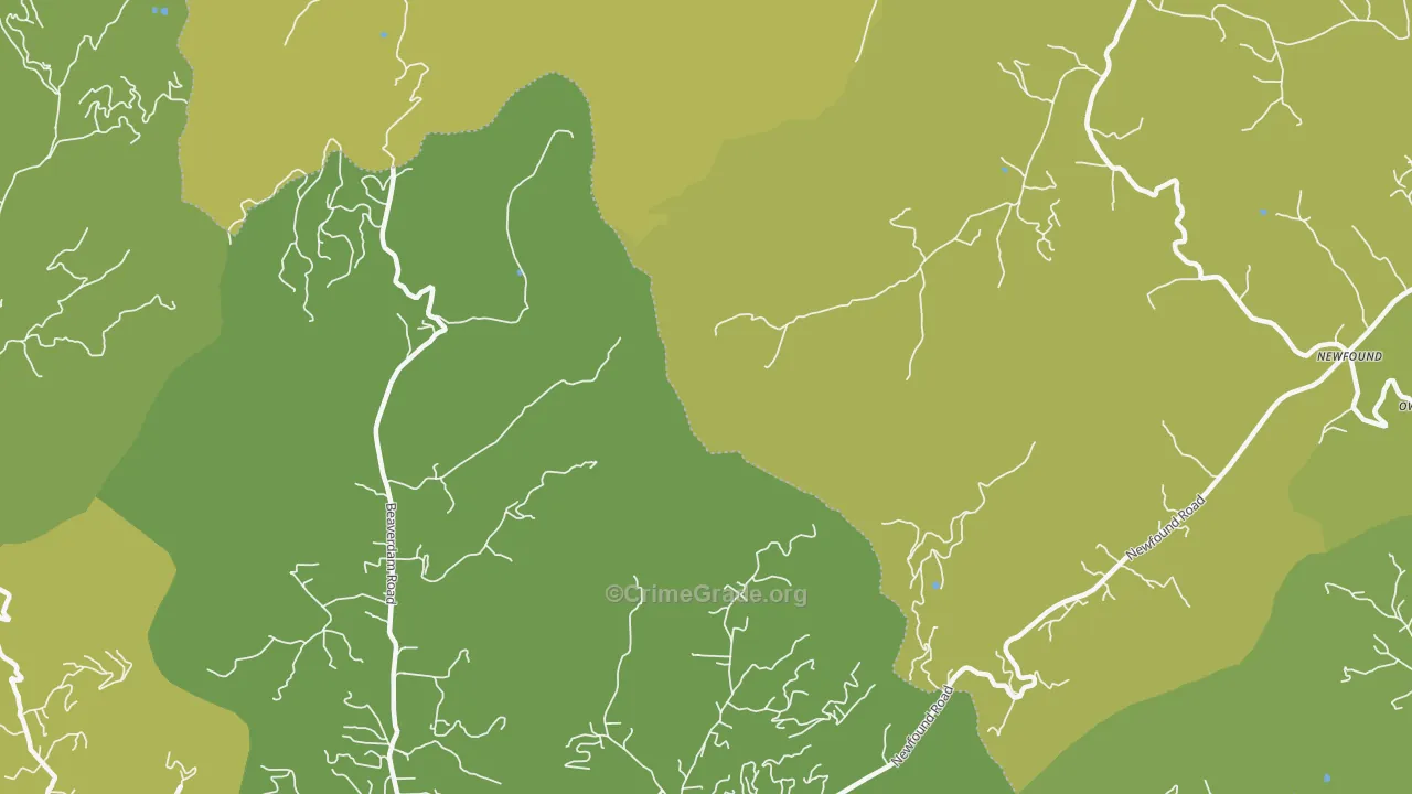 Newfound, NC Map of Burglary Rates