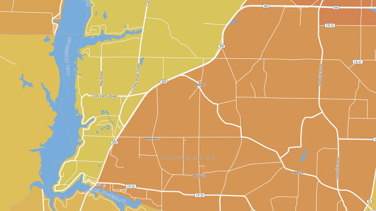 Raines, GA Map of Burglary Rates