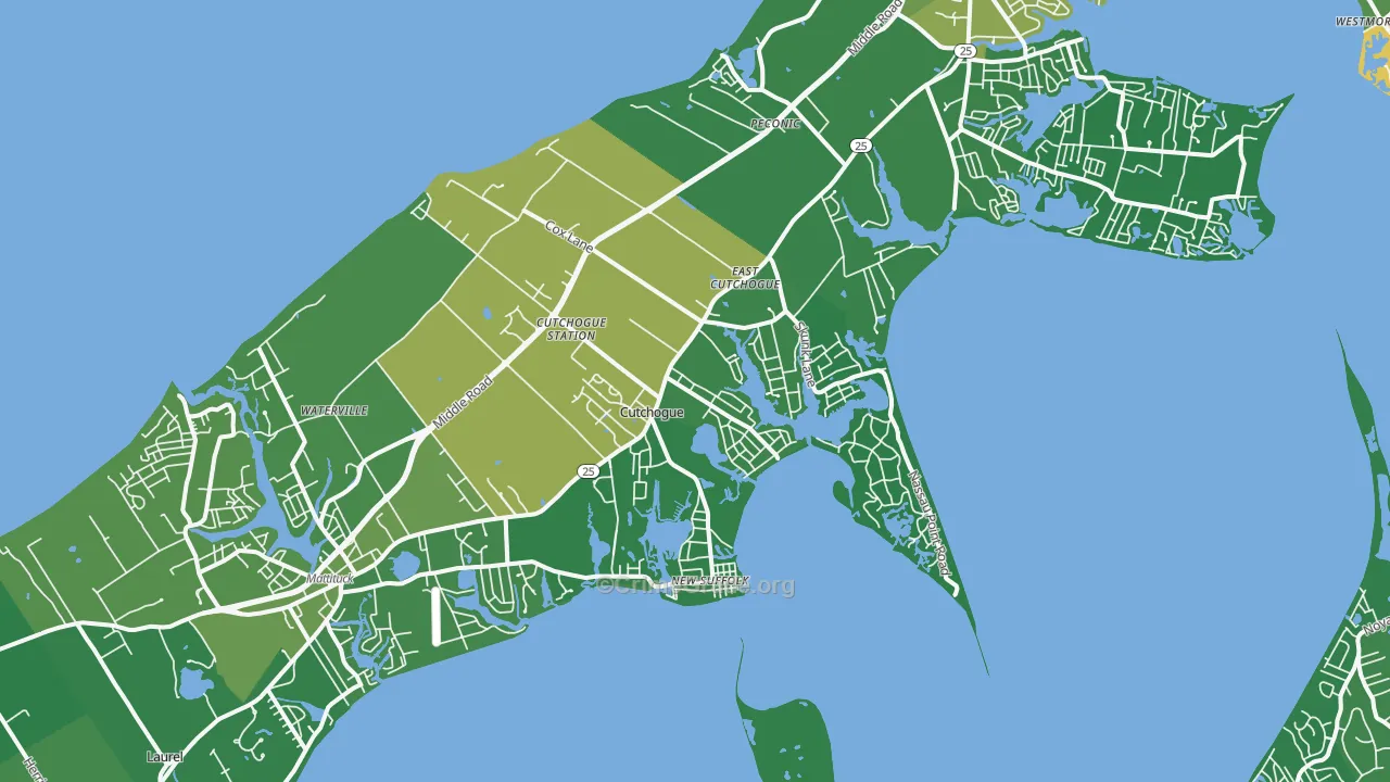 11935, NY Map of Drug-Related Crime Rates