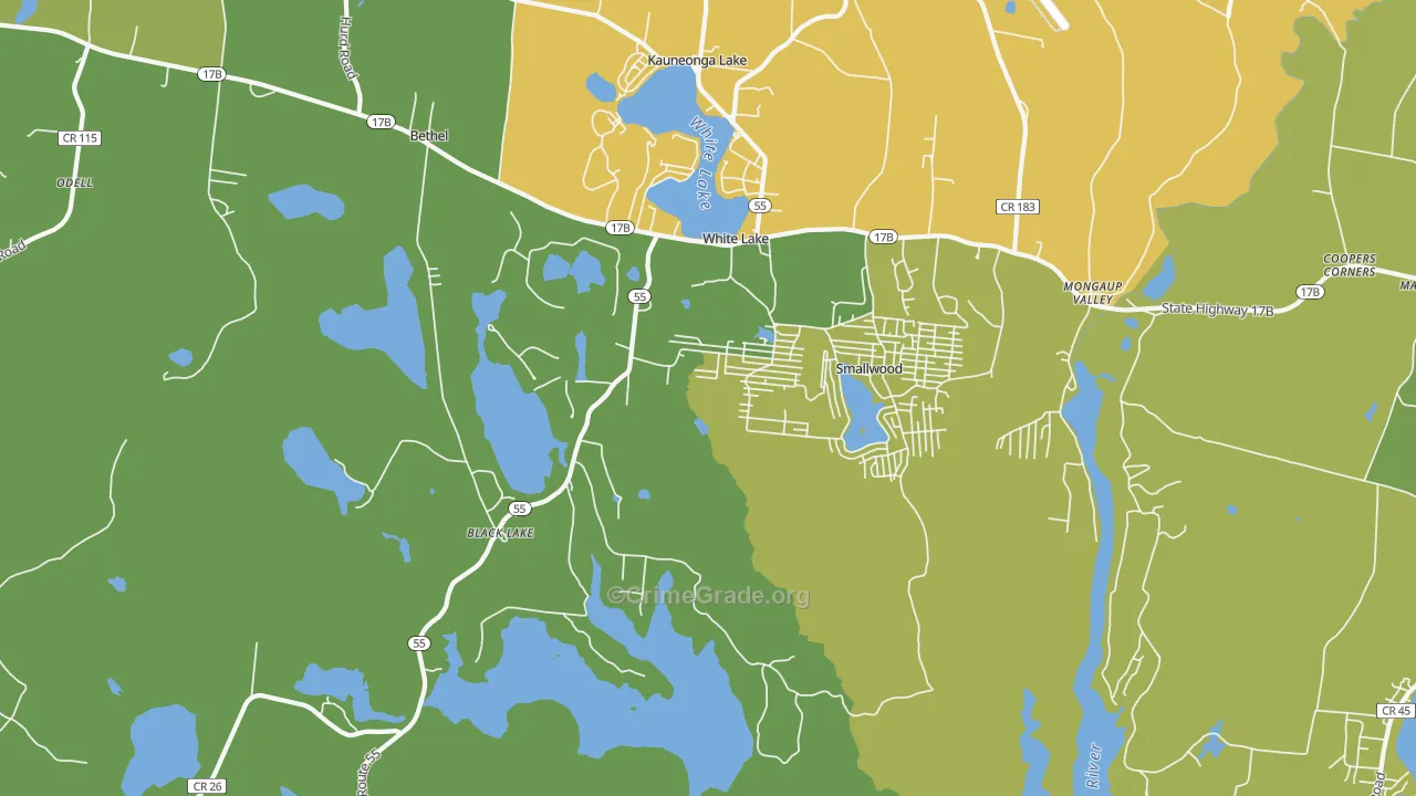 12786, NY Map of Drug-Related Crime Rates
