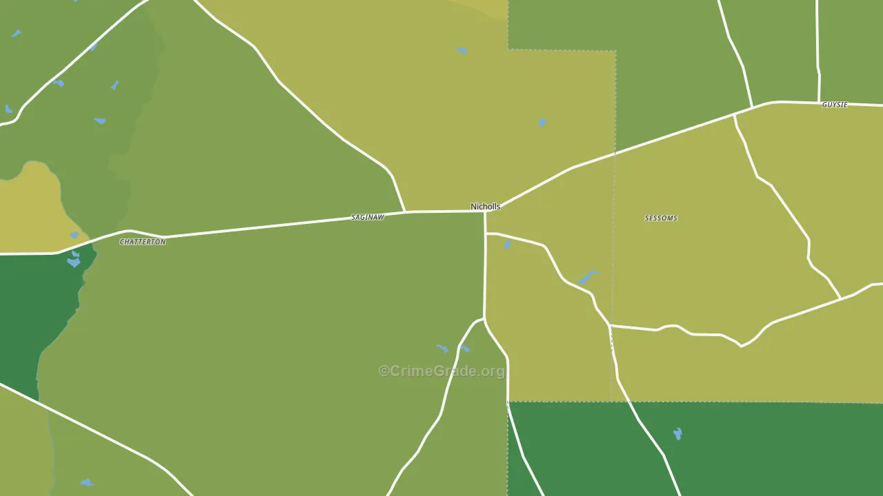 31554, GA Map of Drug-Related Crime Rates