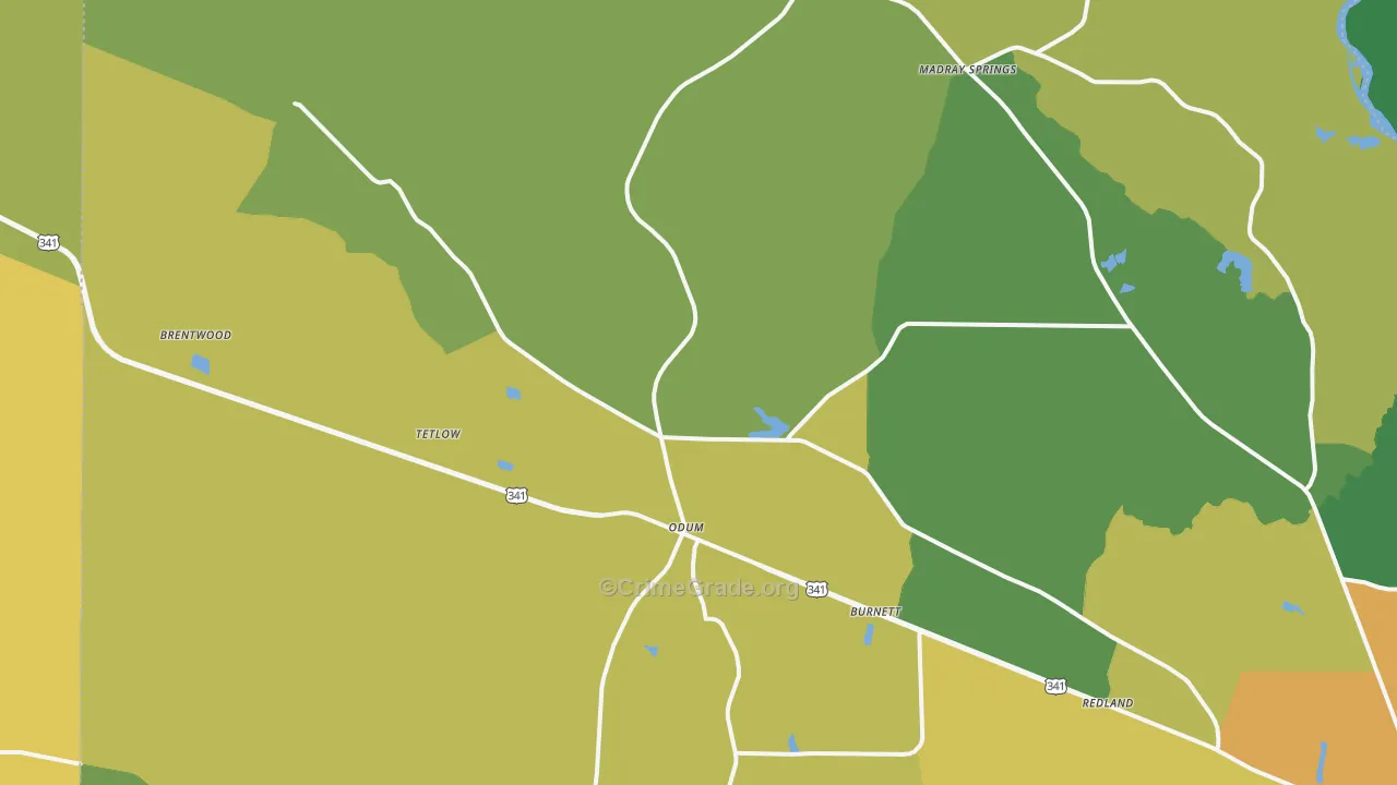 31555, GA Map of Drug-Related Crime Rates