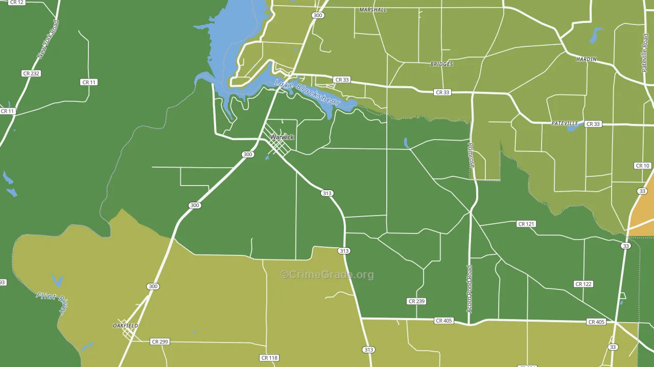 31796, GA Map of Drug-Related Crime Rates