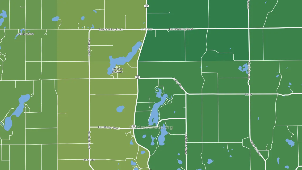49050, MI Map of Drug-Related Crime Rates