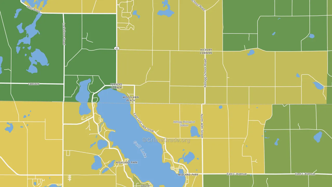 49060, MI Map of Drug-Related Crime Rates