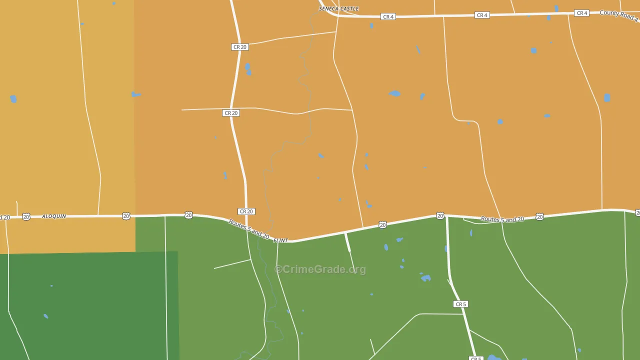 Flint, NY Map of Drug-Related Crime Rates