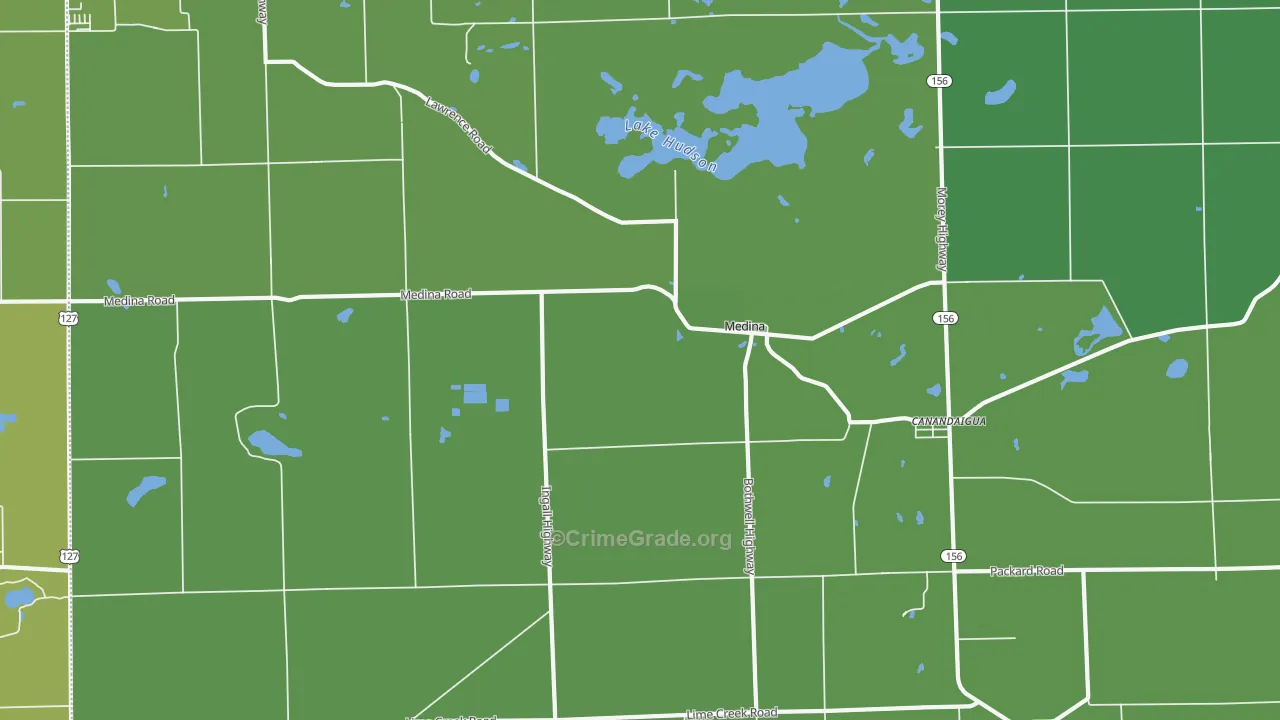 Medina, MI Map of Drug-Related Crime Rates