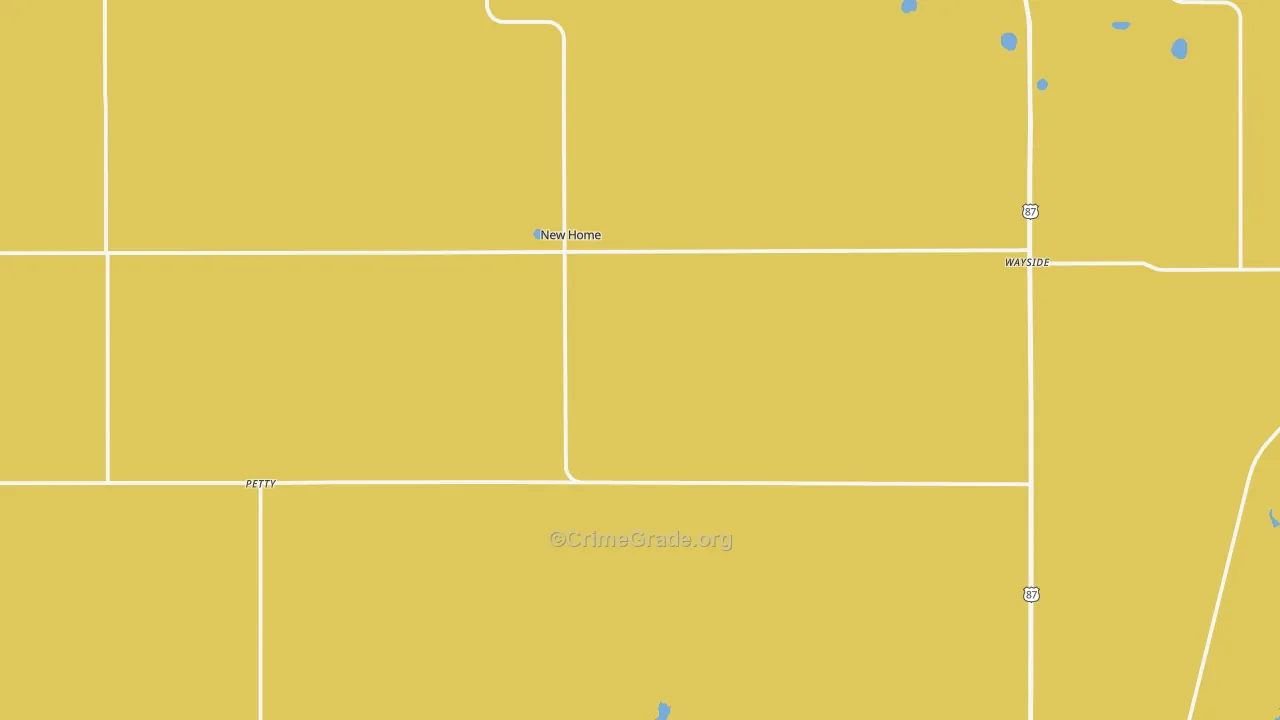 New Home, TX Map of Drug-Related Crime Rates