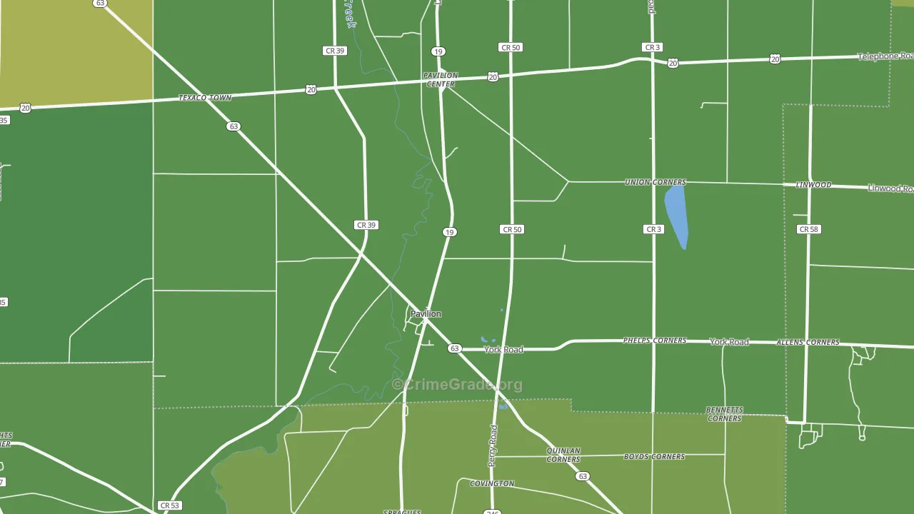 Pavilion, NY Map of Drug-Related Crime Rates