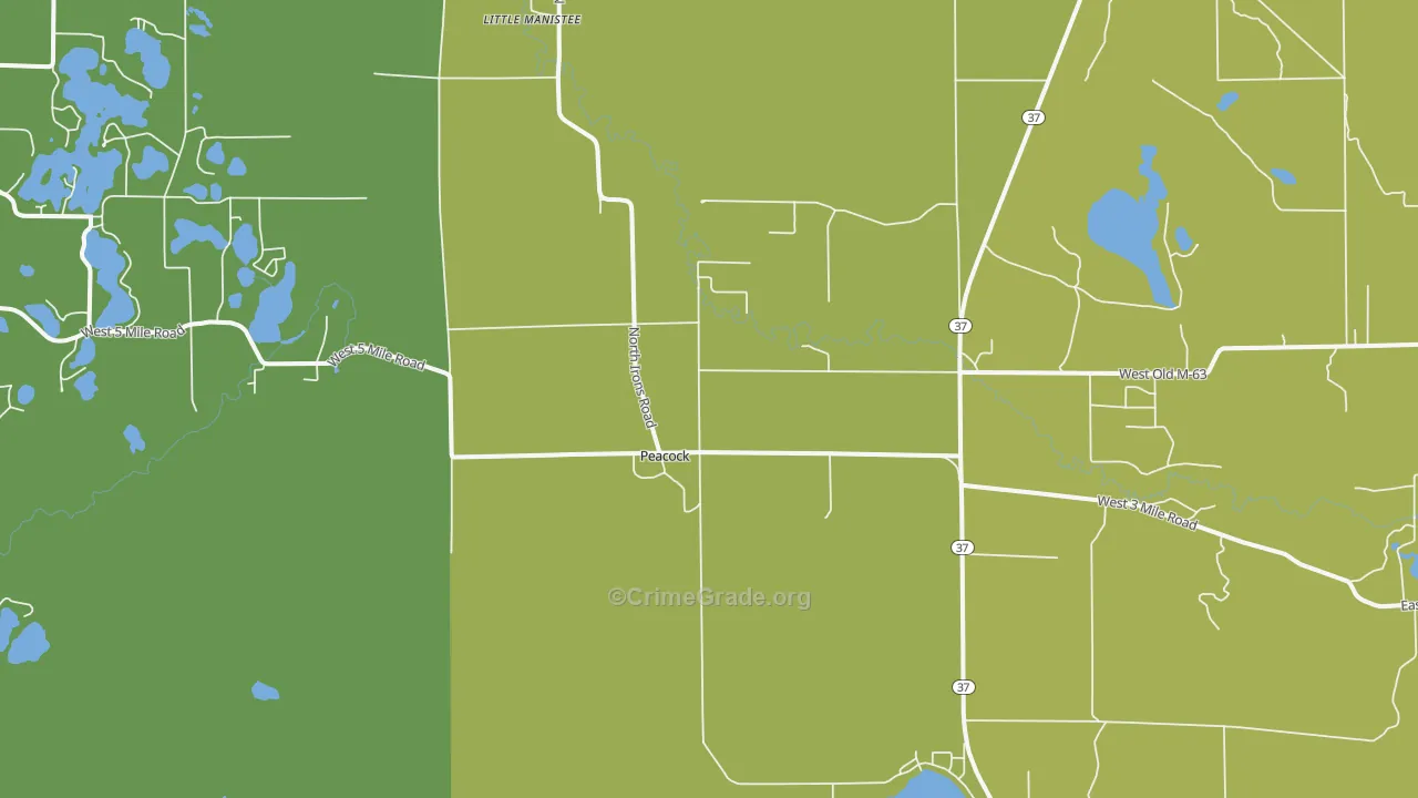 Peacock, MI Map of Drug-Related Crime Rates