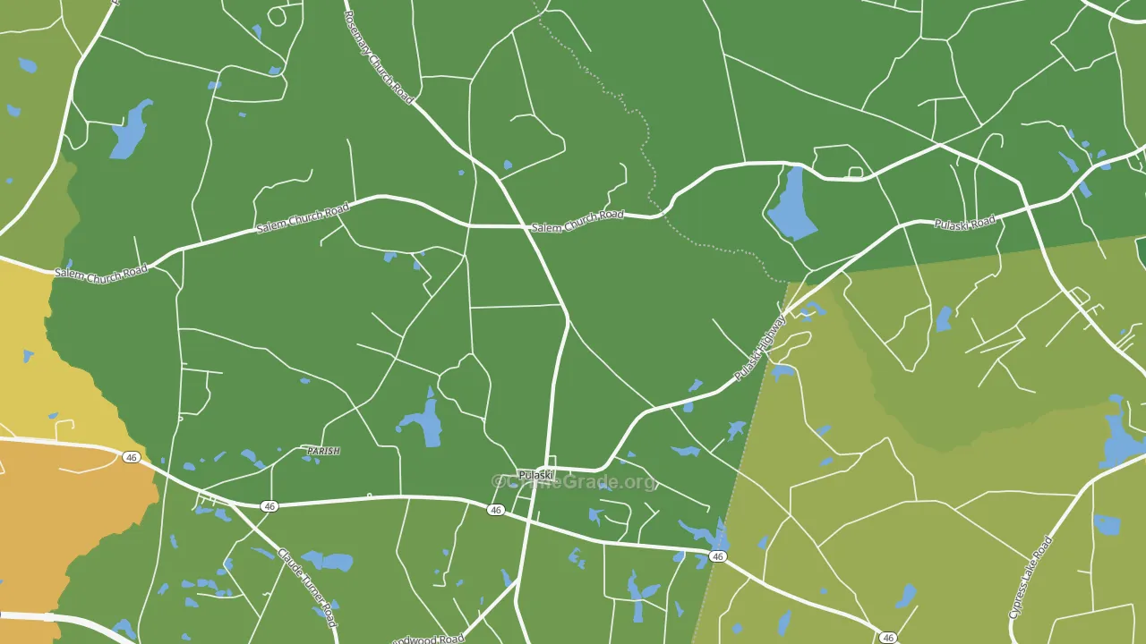 Pulaski, GA Map of Drug-Related Crime Rates