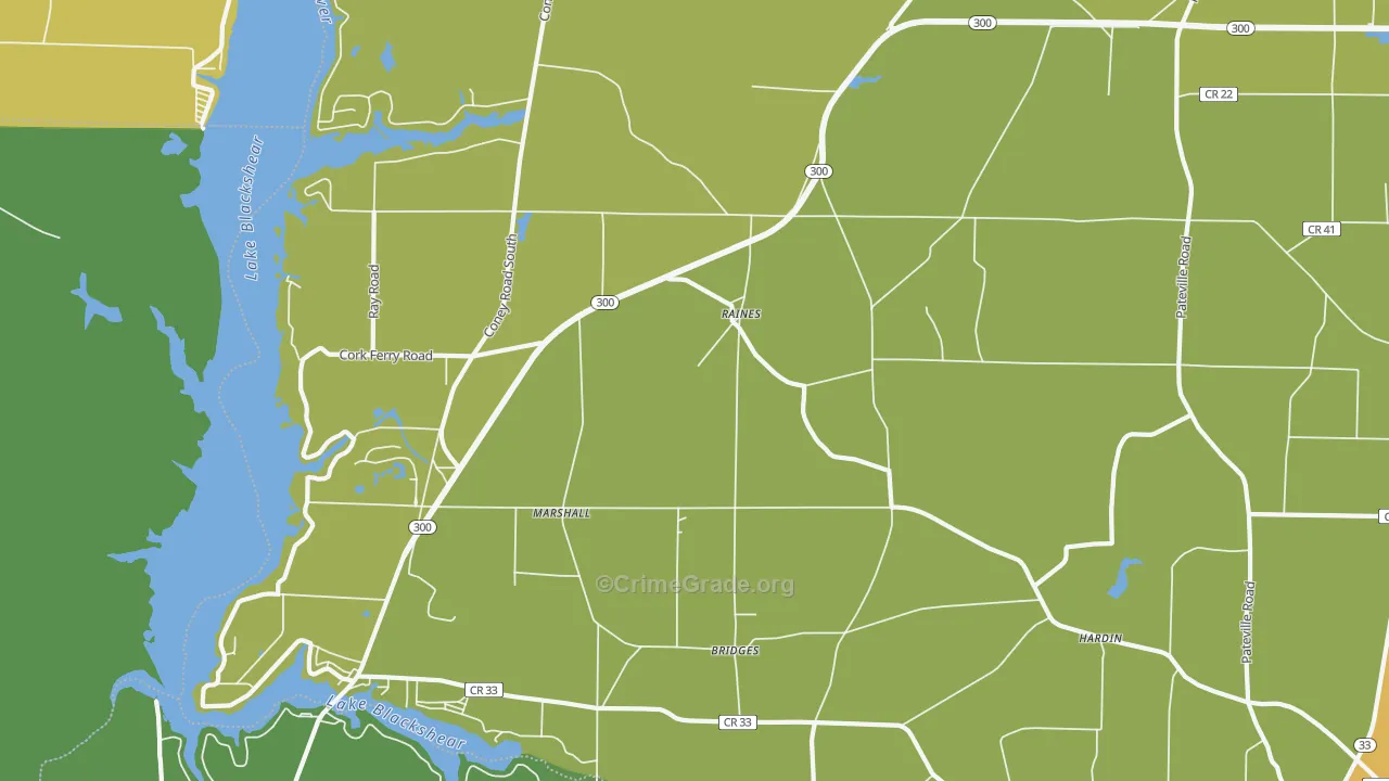 Raines, GA Map of Drug-Related Crime Rates