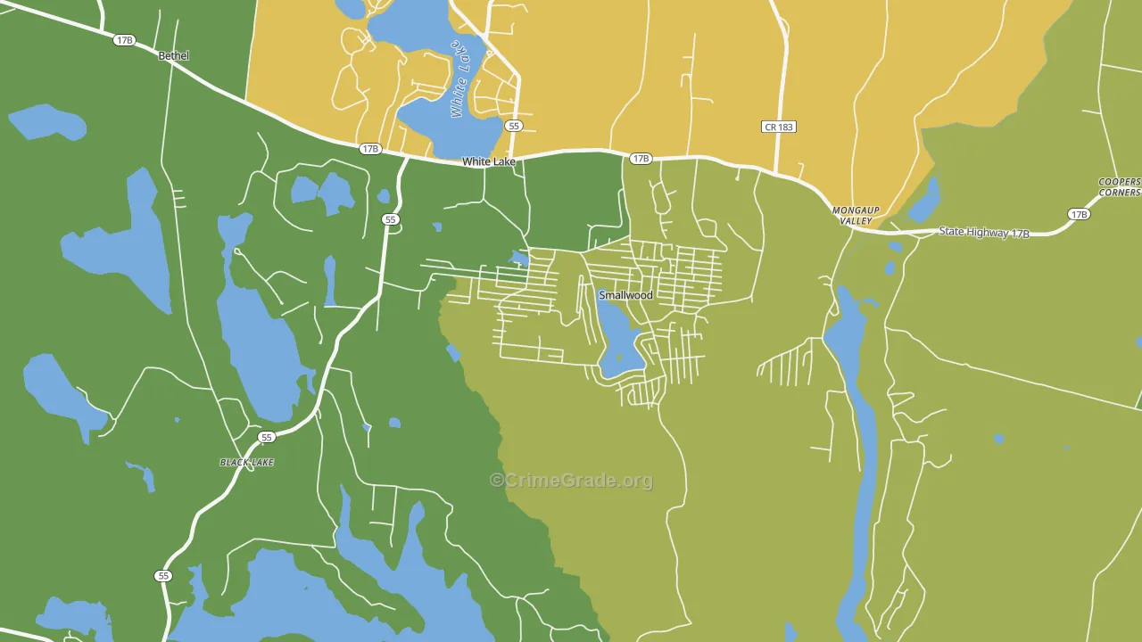 Smallwood, NY Map of Drug-Related Crime Rates