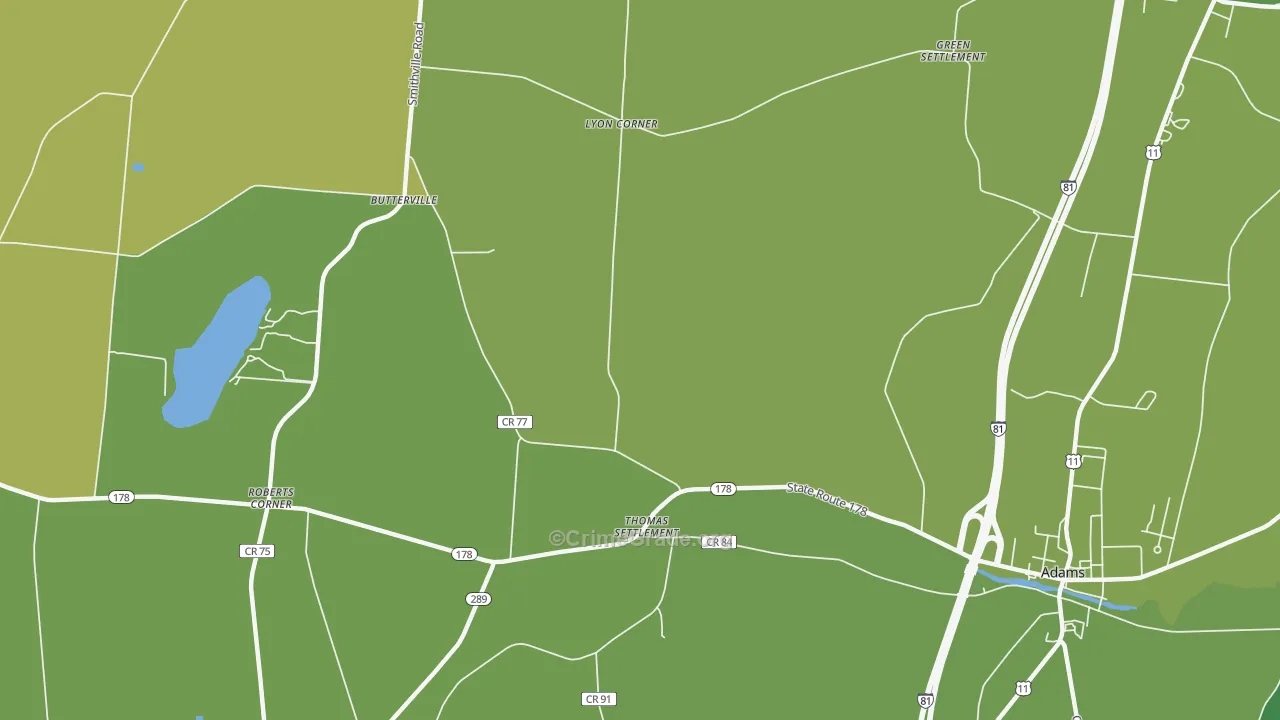 Thomas Settlement, NY Map of Drug-Related Crime Rates