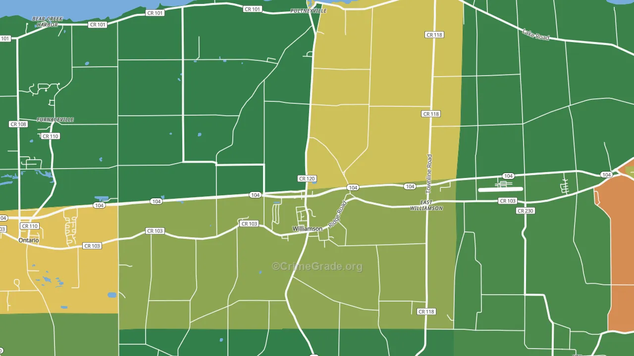 Williamson, NY Map of Drug-Related Crime Rates