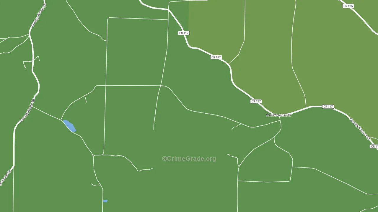 Young Hickory, NY Map of Drug-Related Crime Rates