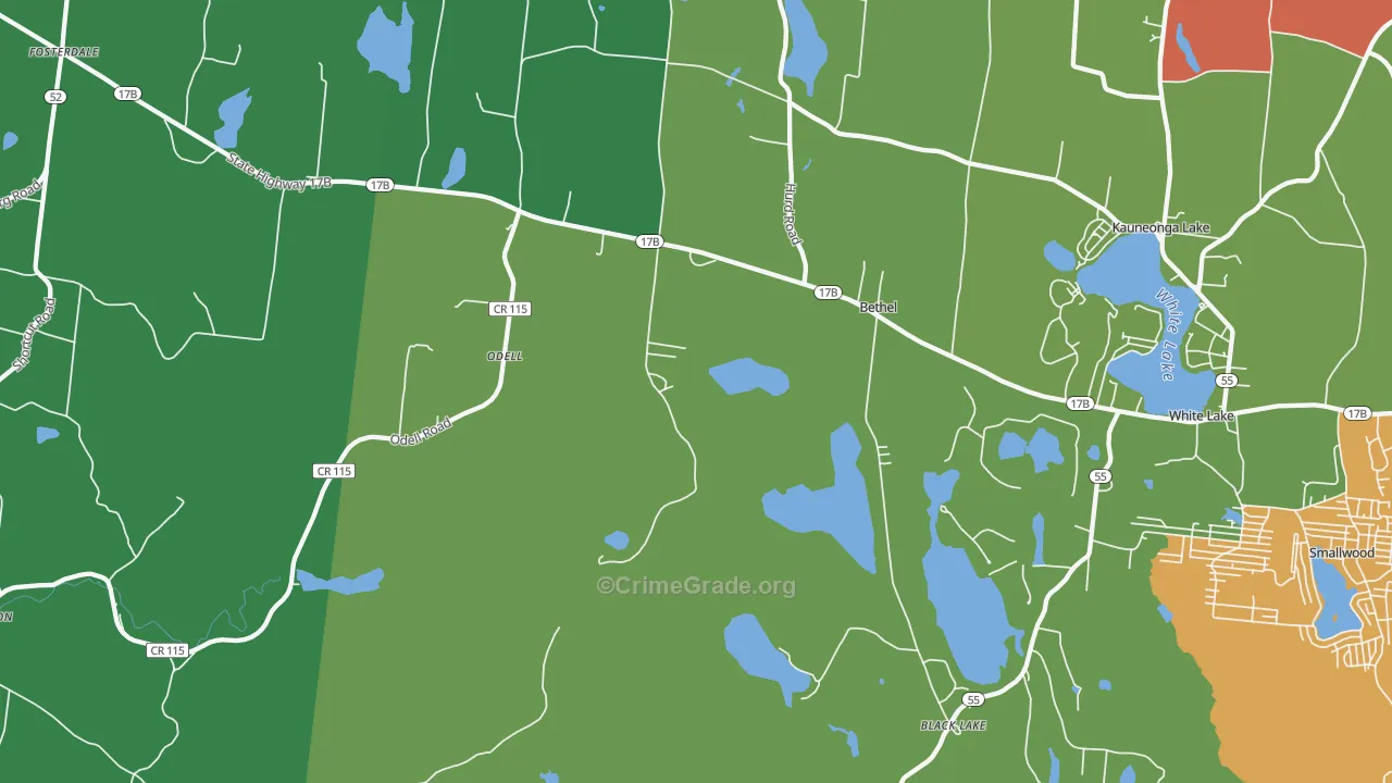 Bethel, NY Map of Murder Rates