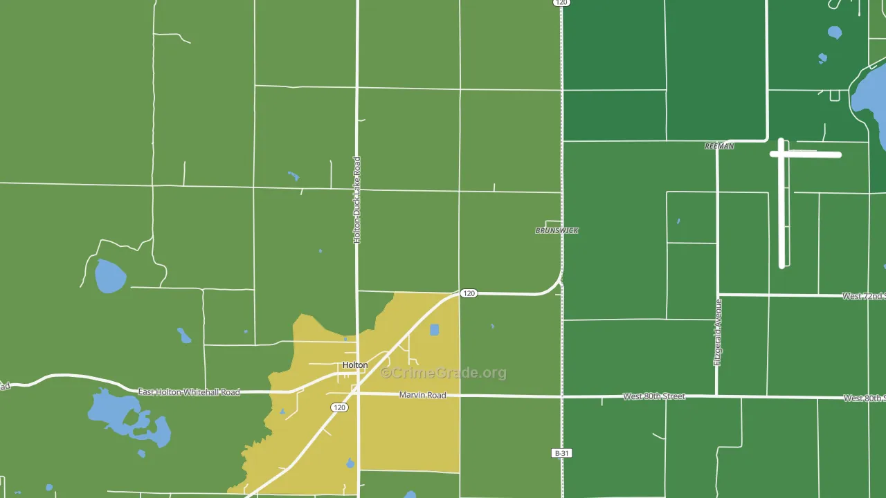Brunswick, MI Map of Murder Rates