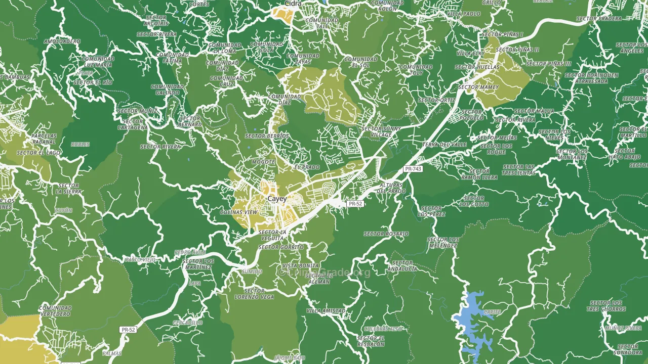 Cayey Municipio, PR Map of Murder Rates