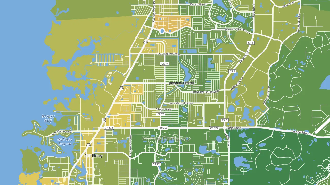 Embassy Hills, Jasmine Estates, FL Map of Murder Rates